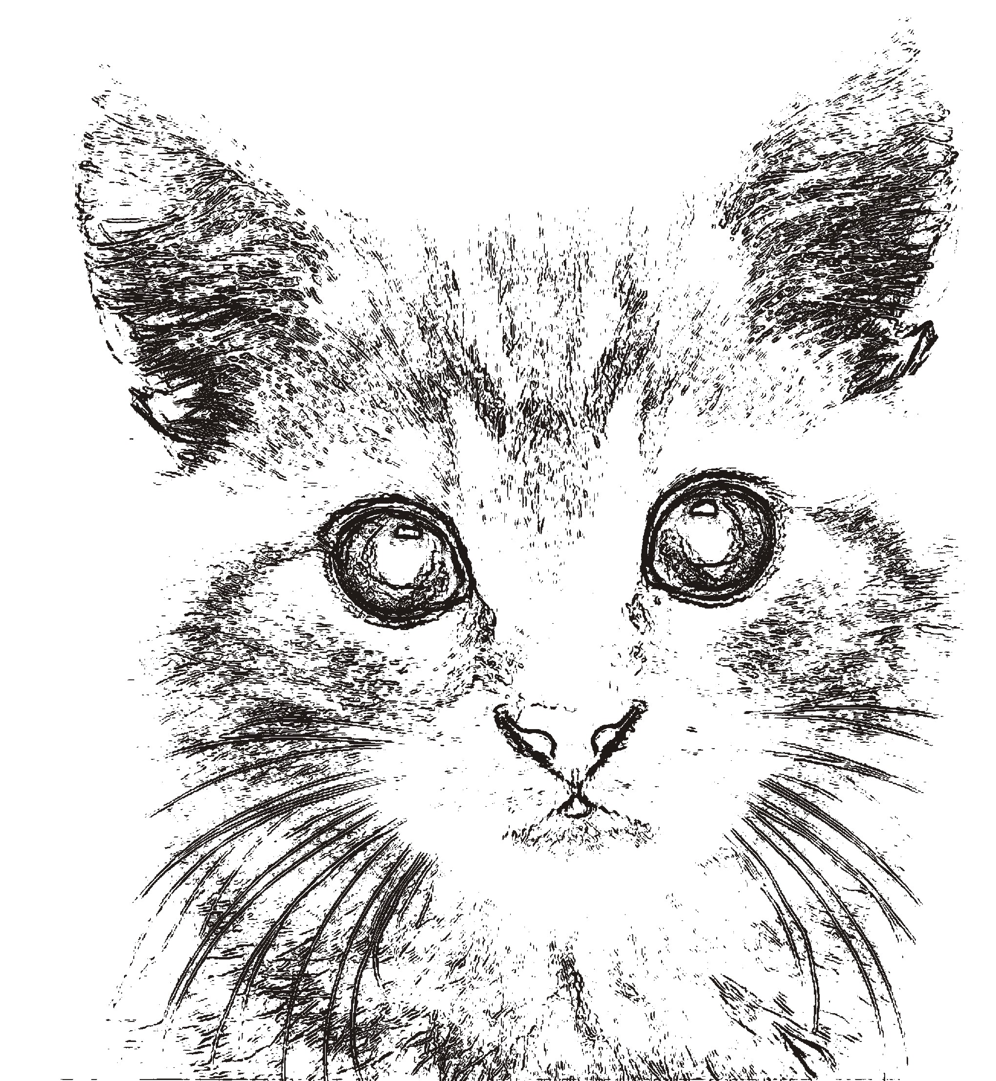 CATCOLORING1